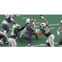 Jacksonville Sharks pressure the New York Streets