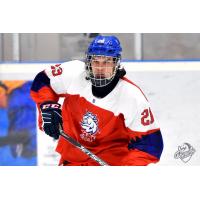 Czech forward Filip Koffer