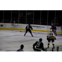 Maine Mariners defenseman Rich Boyd