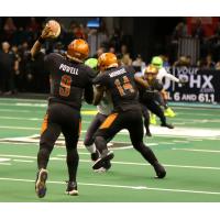 Arizona Rattlers quarterback Drew Powell throws against the Nebraska Danger