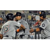 Hector Sanchez receives congratulations from his Long Island Ducks teammates after his home run