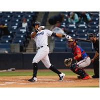 Dermis Garcia of the Tampa Tarpons with a big swing