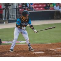 Payton Henry at bat for Los Pescados de Carolina (Carolina Mudcats)