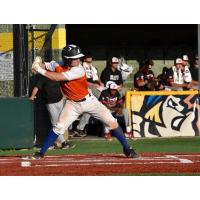 Aaron Roose of the Albany Dutchmen
