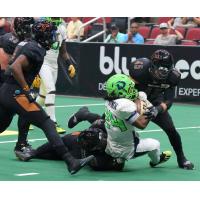 Arizona Rattlers try to separate the Nebraska Danger from the ball
