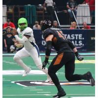 Arizona Rattlers eye the Nebraska Danger quarterback