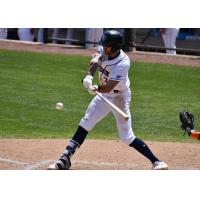Will Kengor of the Somerset Patriots
