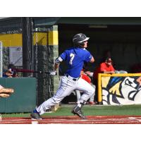 Justin Bench of the Albany Dutchmen