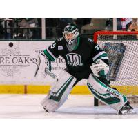 Dallas Stars goaltender Landon Bow