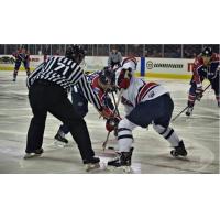 Evansville Thunderbolts faceoff