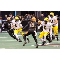 Dillion Winfrey of the Arizona Rattlers eyes a ballcarrier