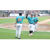 L.J. Mazzilli of the Long Island Ducks receives a high five after his home run