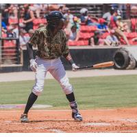 Carolina Mudcats in patriotic jerseys