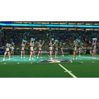 Sidewinders in action