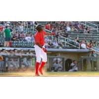 Marino Campana of the Lowell Spinners