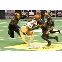 Arizona Rattlers defensive back Davontae Merriweather