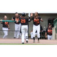 Daniel Fields and David Washington of the Long Island Ducks exchange high fives