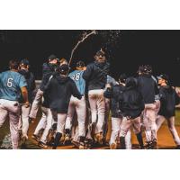 St Cloud Rox celebrate a walk-off win