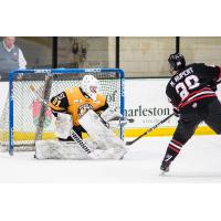 Wheeling Nailers goaltender Jordan Ruby