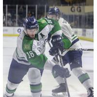 Maine Mariners forward Ryan Ferrill