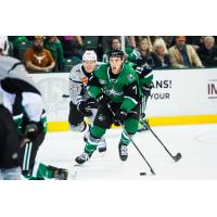 Texas Stars defenseman Gavin Bayreuther