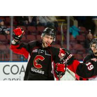 Prince George Cougars defenceman Cole Moberg