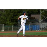 Justin Jones of the Burlington Bees rounds the bases following his home run