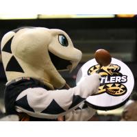 Arizona Rattlers mascot Fang