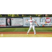 Gus Steiger of the St. Cloud Rox