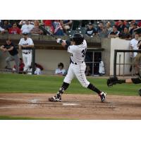amon Flores of the Somerset Patriots