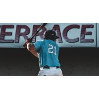 Brett Bonar of the St. Cloud Rox
