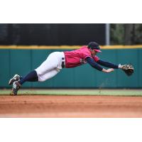 Joe Cronin makes a diving attempt for the Pensacola Blue Wahoos