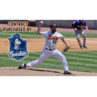 Long Island Ducks pitcher Travis Banwart