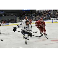 Defenseman Tanner Jago with Bentley University