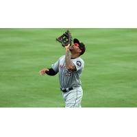 Daniel Fields of the Long Island Ducks