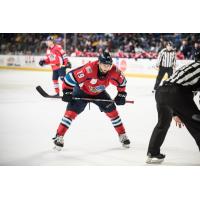 Springfield Thunderbirds forward Jake Horton