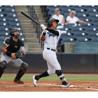 Oswaldo Cabrera of the Tampa Tarpons