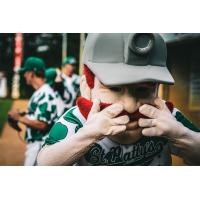 St. Cloud Rox mascot Chisel