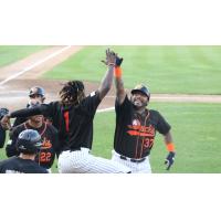 Long Island Ducks celebrate a Hector Sanchez home run