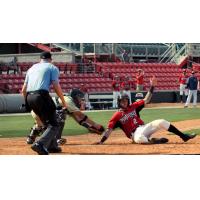 Brice Turang of the Carolina Mudcats slides safely home