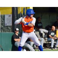 Chris Seng of the Albany Dutchmen
