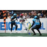 Washington Valor wide receiver Josh Reese vs. the Philadelphia Soul