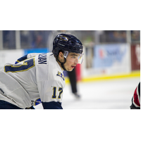 Sioux Falls Stampede right wing Ryan Sullivan