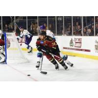 Zach Malatesta of the Atlanta Gladiators
