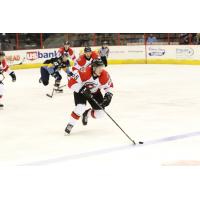 Forward Shaw Boomhower with the Cincinnati Cyclones