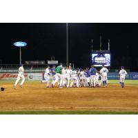 Lexington Legends celebrate a walk-off win