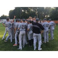 Albany Dutchmen huddle