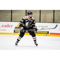 Wheeling Nailers forward Brad Drobot