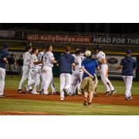 Pensacola Blue Wahoos rush the field