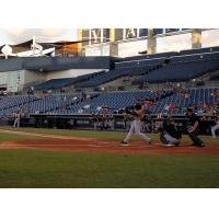 Tampa Tarpons vs. the Jupiter Hammerheads